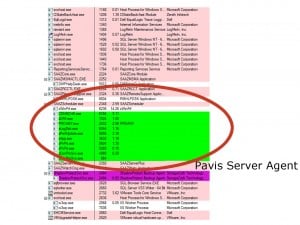 Pavis Server Agent - Managed Services