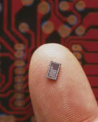 Microchip