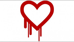 HeartBleed Security Risk