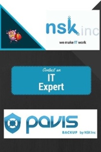Pavis Disaster Recovery and Backup